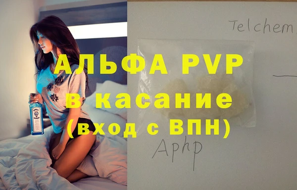 хмурый Алексин