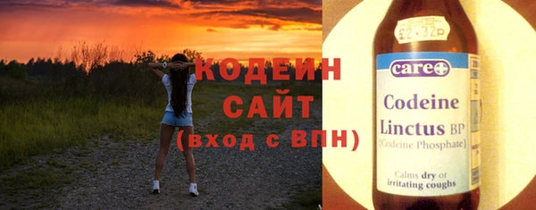 хмурый Алексин