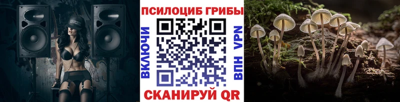 Псилоцибиновые грибы прущие грибы  Навашино 